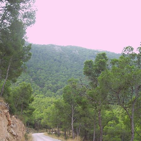 Auberge de jeunesse Aljibe De Monastrell à Ricote Extérieur photo