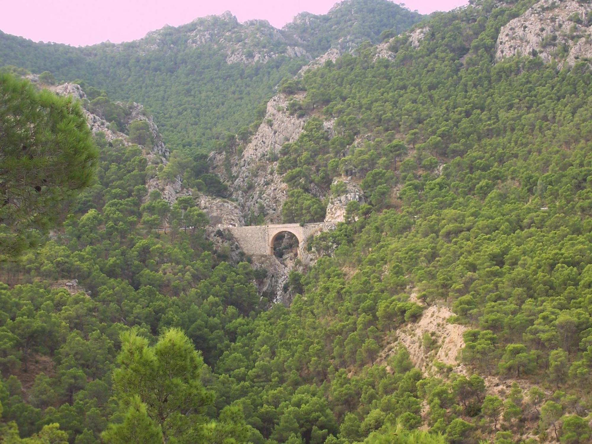 Auberge de jeunesse Aljibe De Monastrell à Ricote Extérieur photo
